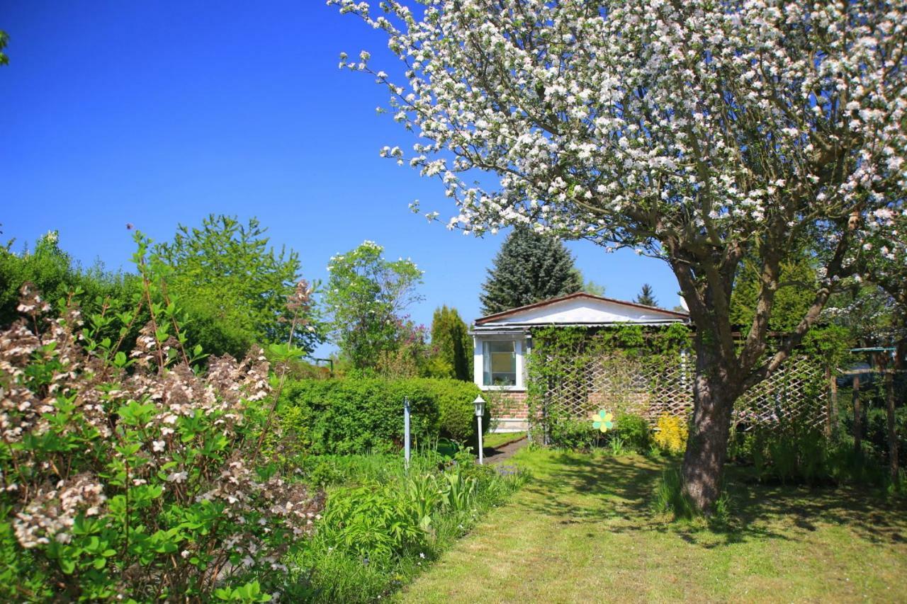Mitten Im Seenland Und Spreewaldnah, Schoener Garten Storkow  Dış mekan fotoğraf